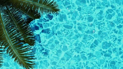 3D-Animation mit Palmblättern über dem Pool