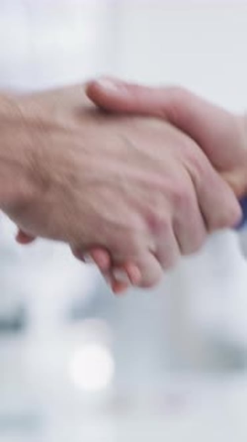 Close Up of a Professional Handshake in Office