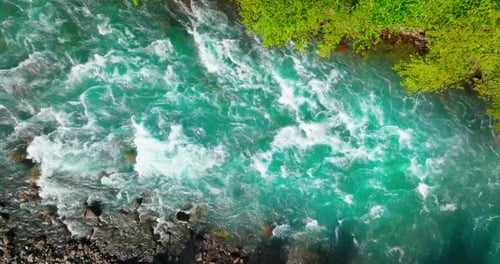 Top Down View of Fast Moving River Surrounded By Pine Forest Canada
