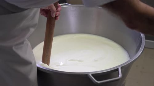 Manufacture Production and Making Process of Mozzarella Cheese, Worker Stir Raw Stretchy Soft White