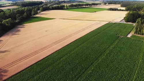 Vue aérienne du champ agricole