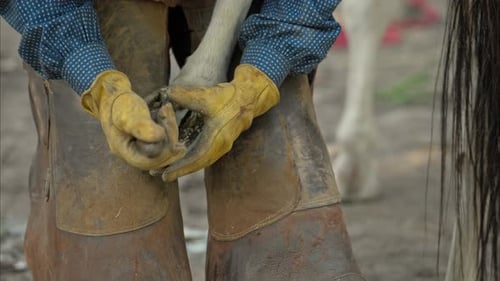 Un vaquero con chaparrones y guantes de cuero corta la pezuña de un caballo en un establo al aire libre