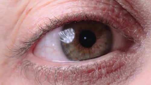 Woman brown eye ball closeup with reflections and shine 09