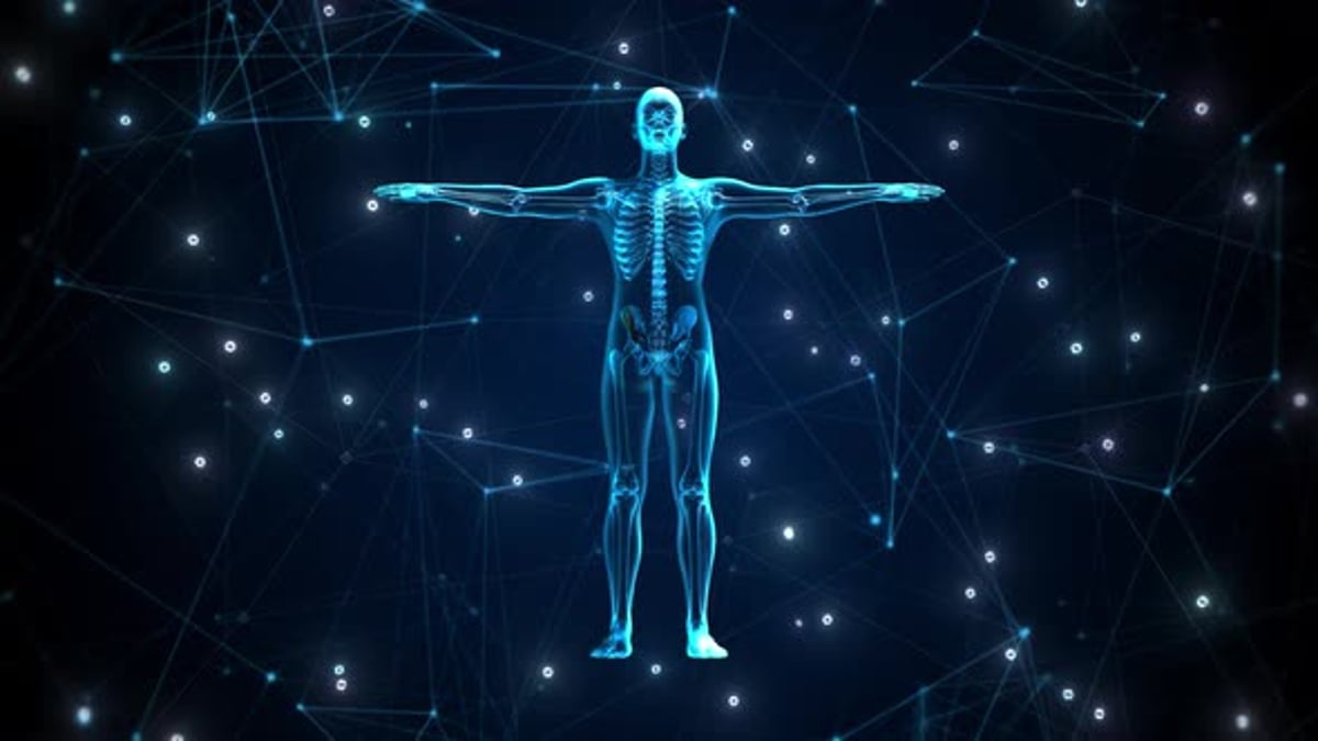 3D Rotating Human Skeleton X-ray Scan, Backgrounds Motion Graphics ft ...