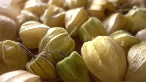 Baya dulce de physalis sobre mesa