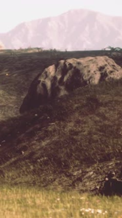 High Mountain Summer Landscape and Meadow with Huge Stones Among the Grass