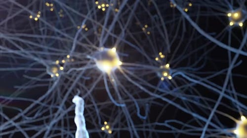 Flying backwards through nervous system between nerves and nerve synapses