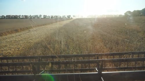 Close Up Knife of Combine Spinning and Cutting Ears of Wheat Grain Harvester Working in Field at
