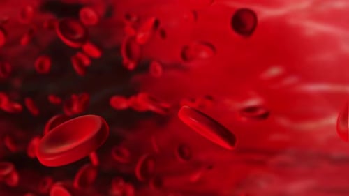 Red Blood Cells Circulating Through Bloodstream Medical Animation