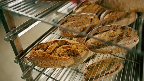 bakery fresh and fragrant bread lies on the shelves of the craft production of flour products