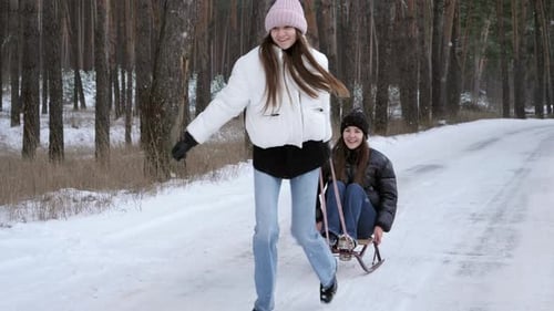 Happy cheerful girls riding on sleds while her sister is pulling her in forest