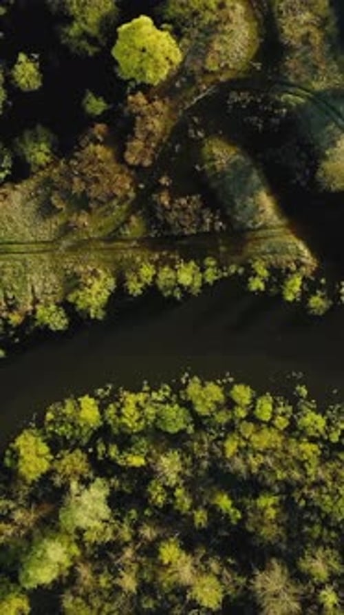 Flat View Aerial View Green