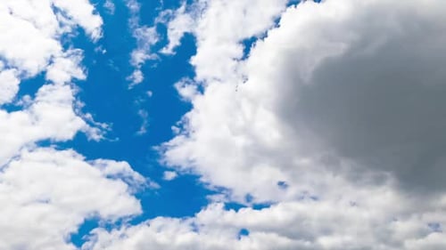 Cumulus white soft clouds transforming quickly in the atmosphere. Low angle view. Timelapse.