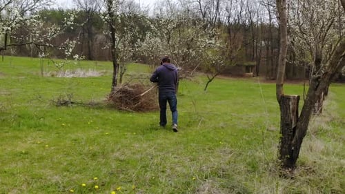 A Farmer Gathering Dry Tree Branches At The Plum Tree Garden In Bulgaria On Spring - Panning Shot
