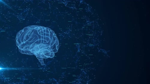 Digital Brain Wireframe with Data Network Animation