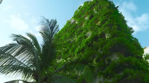 Jardines verticales en edificios modernos: concepto de construcción ecológica