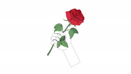 Flat Design Animation of Hand Holding a Red Rose