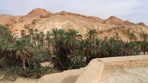 Oasis with palm trees in Tozeur, Tunisia, surrounded by desert hills under a cloudy sky