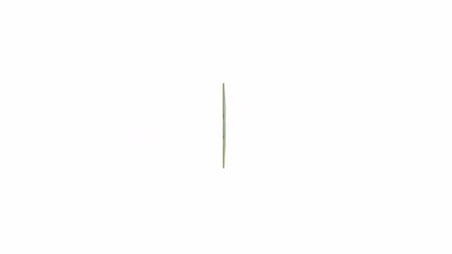 Green Computer Memory Module
