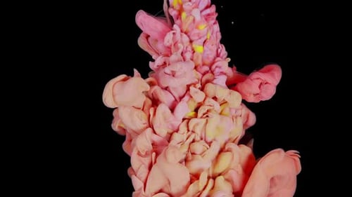 Pink and Yellow Ink Swirls Dynamically