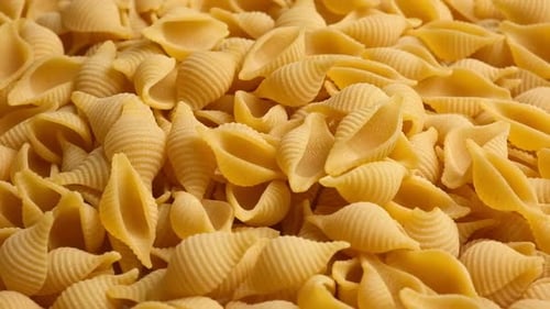 Abundant Pasta Shells Close Up Still Life