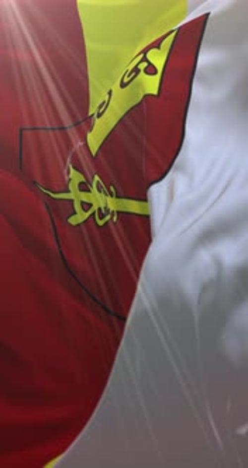 Vertical Waving Flag with Red and Yellow Stylized Coat of Arms Emblem