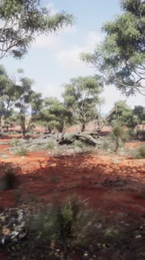 A Serene Landscape with Trees in a Rustic Field