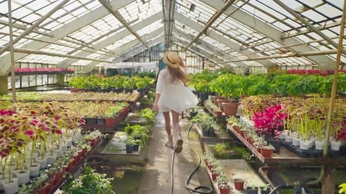 Carefree Woman Running in Sunny Greenhouse of Plants Shop Rear View of Graceful Female Figure