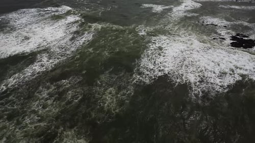 Das grüne Meer