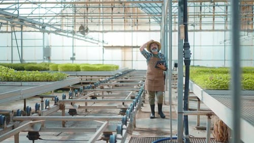 Farmer with Tablet Inspects Plants in Greenhouse