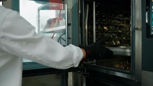 Chef Removes Golden Potatoes from Modern Oven