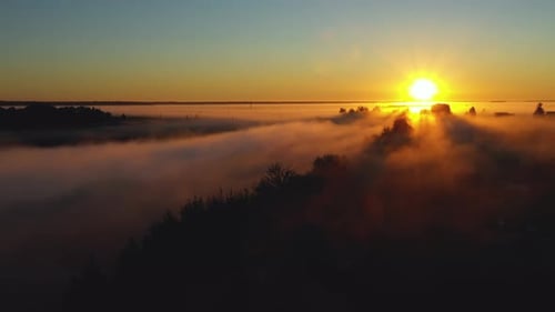 Misty Rural Landscape at Golden Sunrise