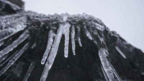 Close-up of icicles hanging off a dark rocky surface with a blurred background