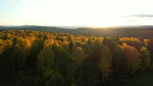 Farbenfroher Herbstwald bei Sonnenuntergang, Luftbild