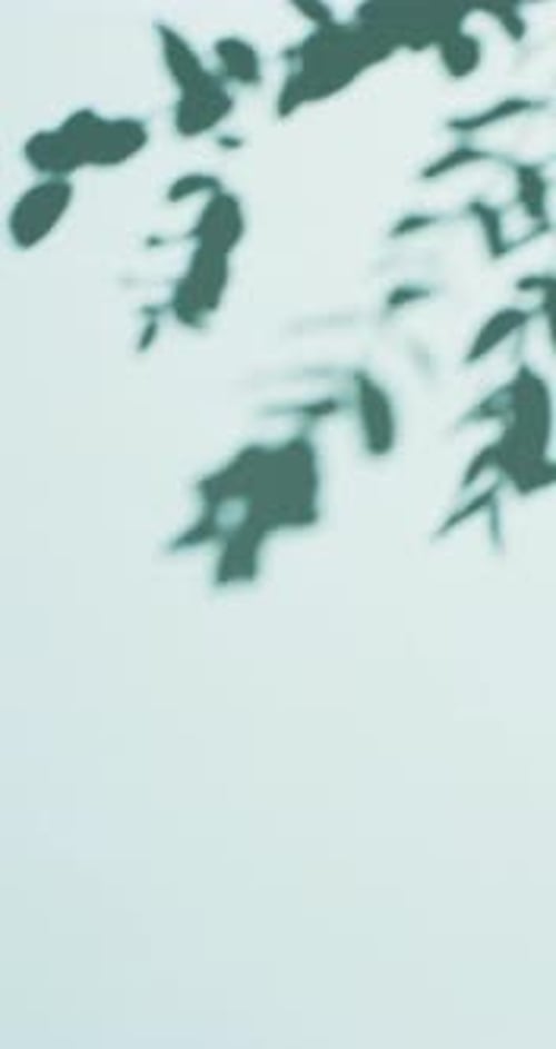 Elegant Leaf Shadows on Light Blue Background