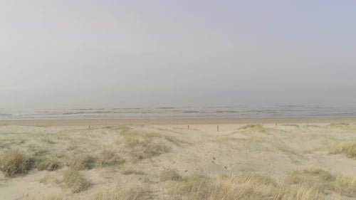 Beachgrass On White Sand Dunes By The Beach On A Summer Day. wide aerial shot
