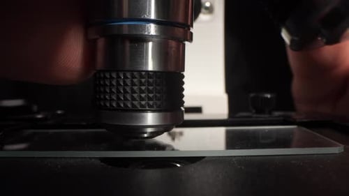 Scientist Adjusting Microscope Focus for Sample Analysis
