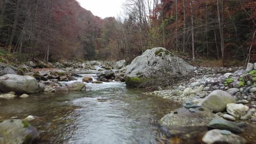 Autumn mountain river, fall forest trees foliage aerial view
