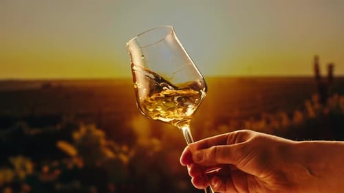 Orange or White Wine Bottle and Glass Against a Sunset in a Peaceful Vineyard Pouring of Ecological