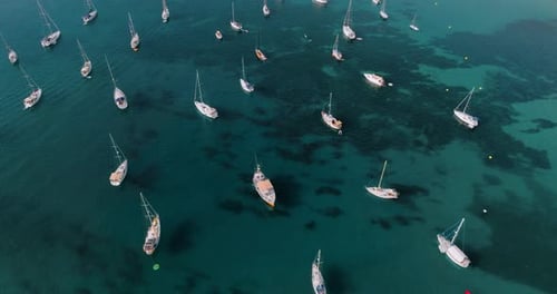 Aerial View the Boats Anchored Near the Coast in Clear Sea Waters