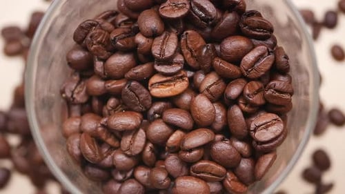 Roasted Coffee Beans Fill a Glass Jar