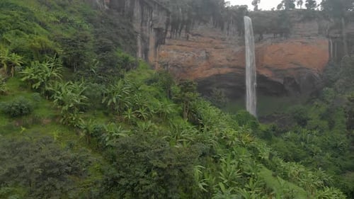 Aerial shot rising up from the jungle floor and looking onto a large water fall plunging off a cliff