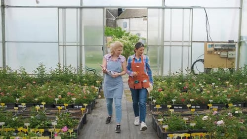 Women Walking Through Greenhouse Discussing Plants
