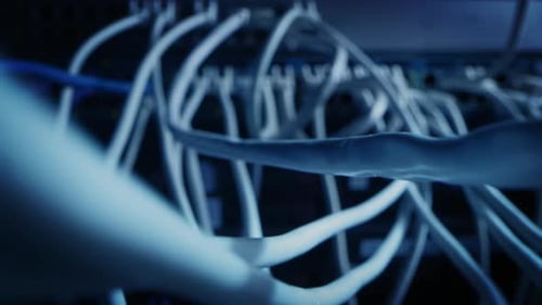 Close-up Macro Shot: Ethernet Cables Connected to Router Ports. Telecommunications: RJ45 Device Con