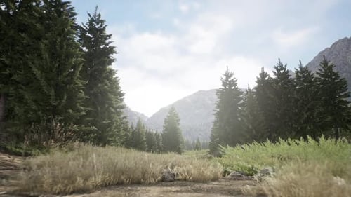 Mountain Village At Day Time