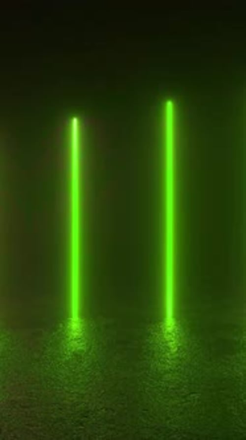 Des néons de différentes couleurs brillent