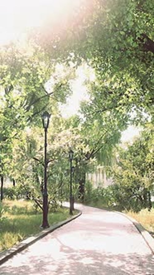 Empty Street at the Nice and Comfortable Great Garden