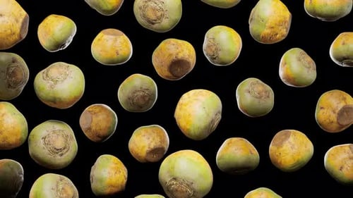 3D Animated Falling Turnips Seamless Loop