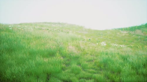Green Grass Landscape with Hills and Blue Sky
