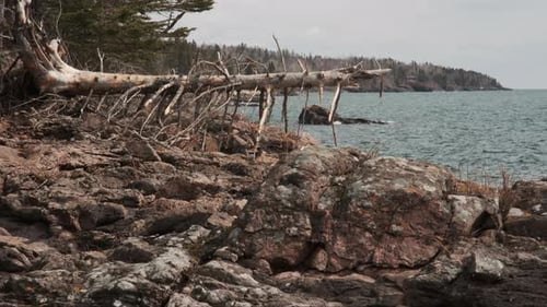 Gentle snowfall on the rocky shoreline of Lake Superior